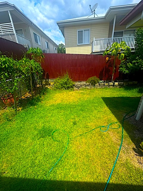 Completed Lawn Job